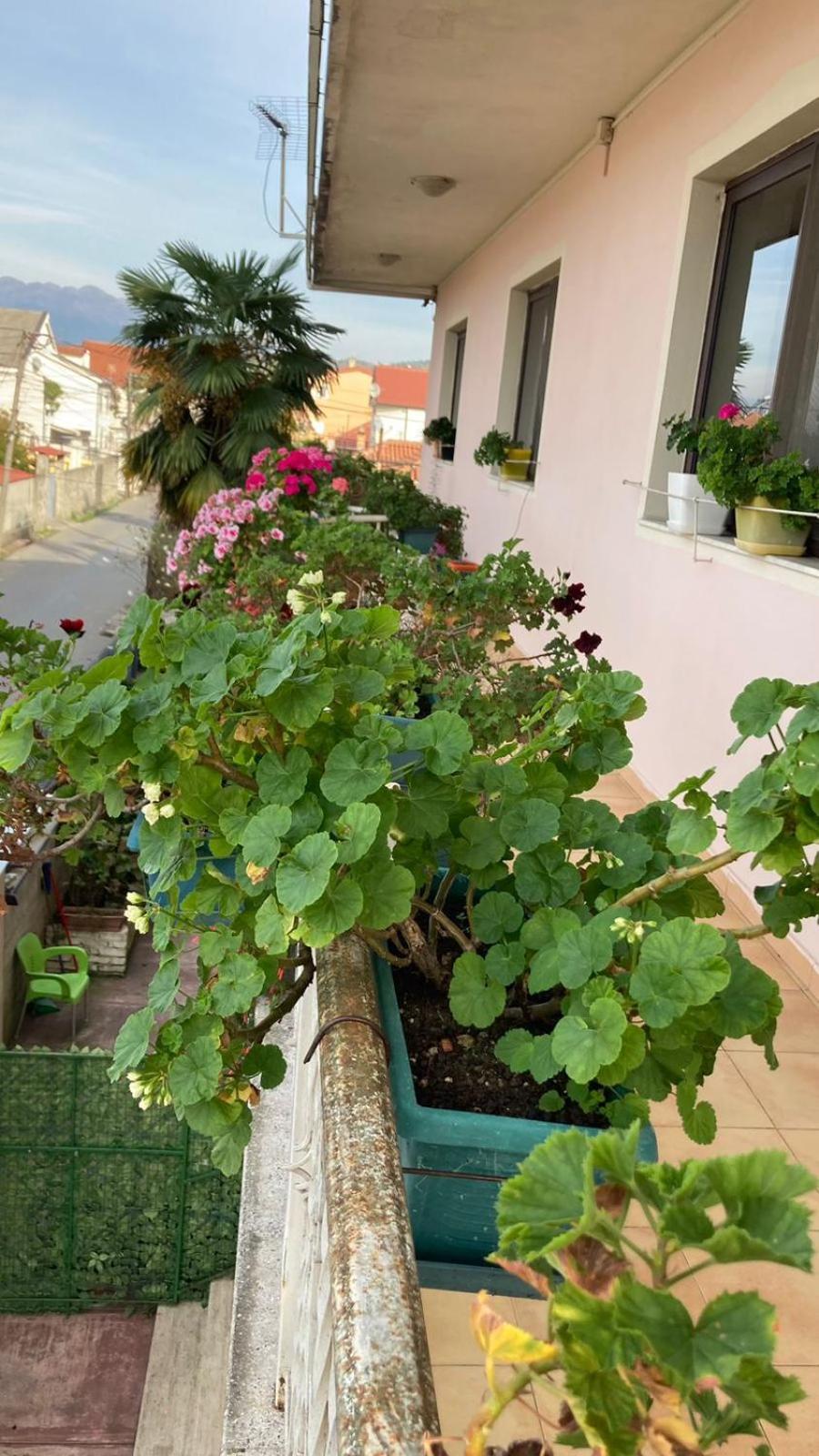 Blissful Hostel Shkoder Exterior photo