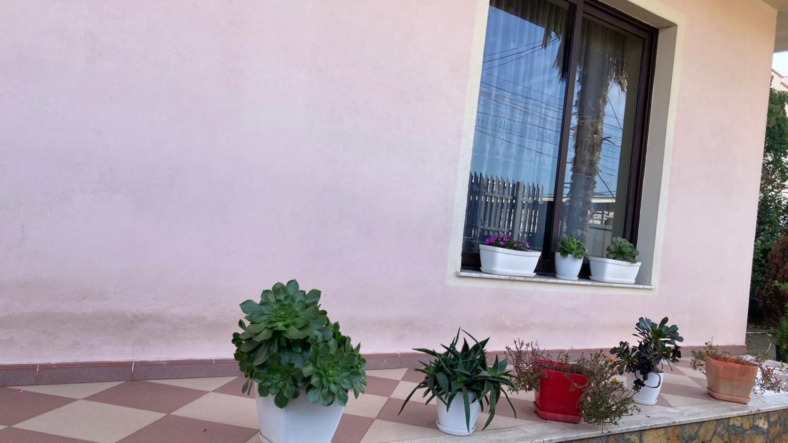Blissful Hostel Shkoder Exterior photo