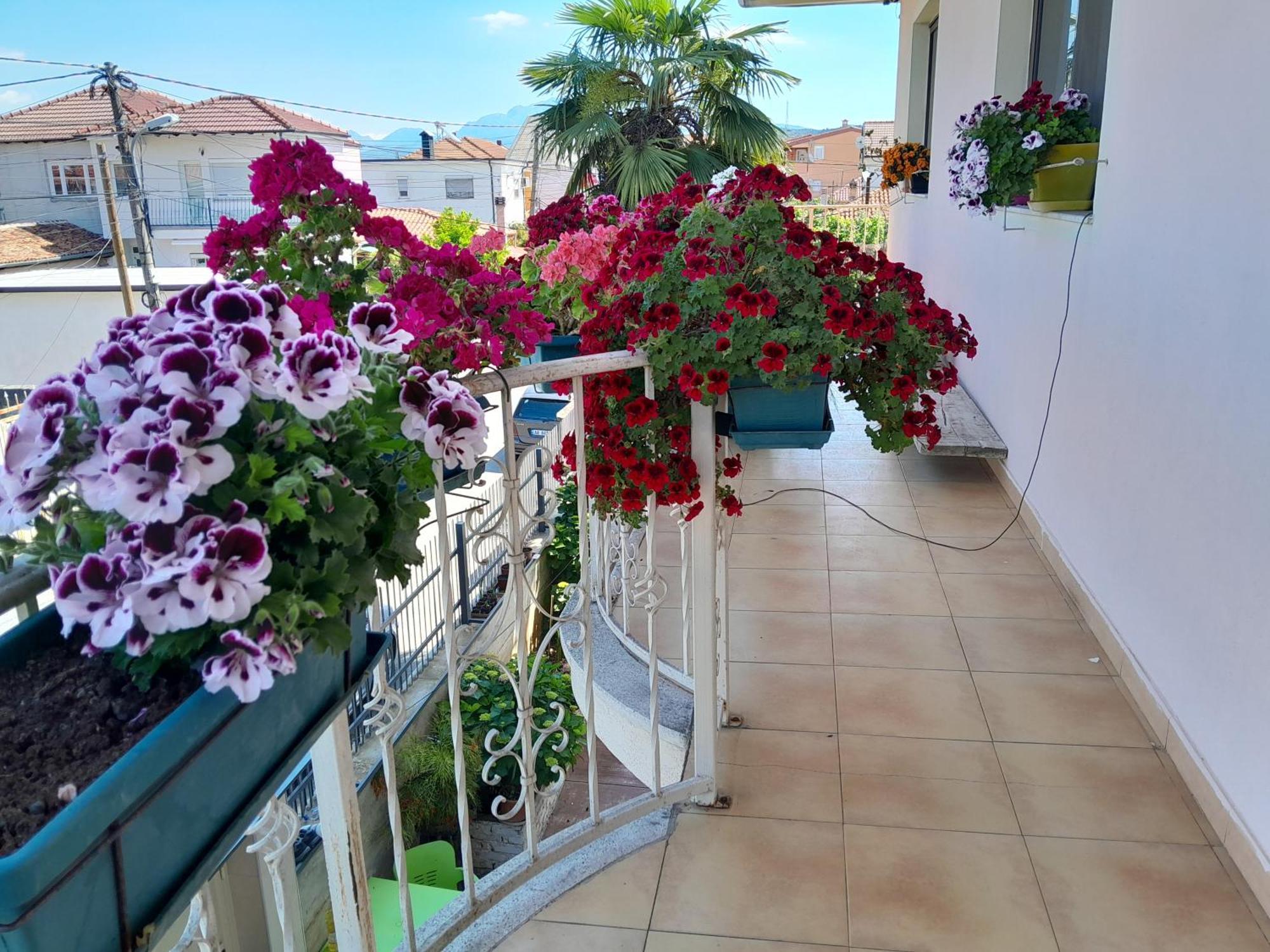 Blissful Hostel Shkoder Exterior photo